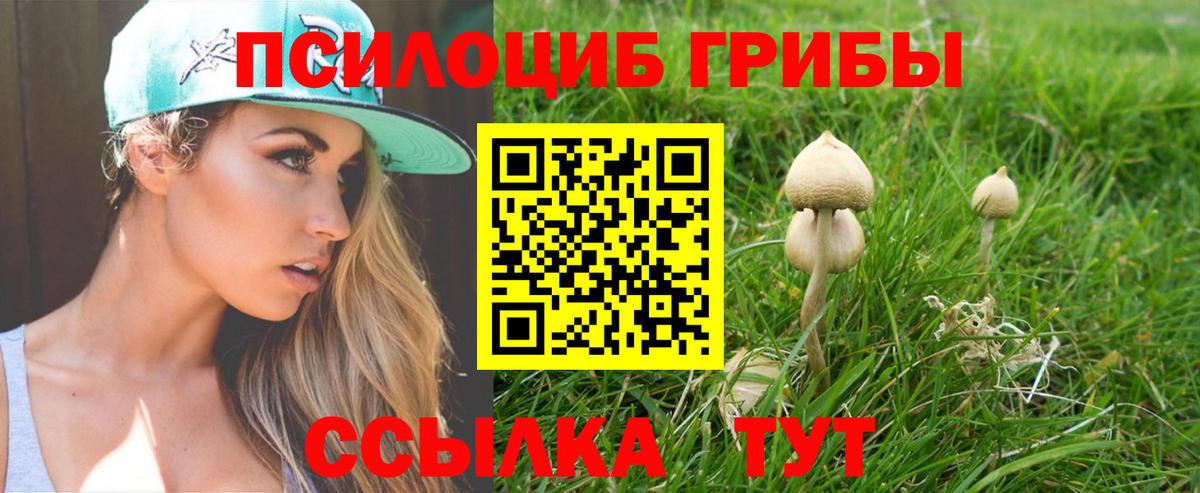 Галлюциногенные грибы MAGIC MUSHROOMS Рязань